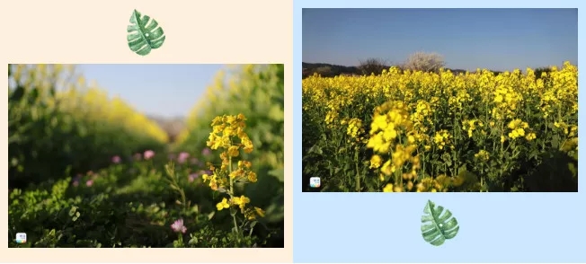 1561962122114636.jpg 640.webp (2).jpg