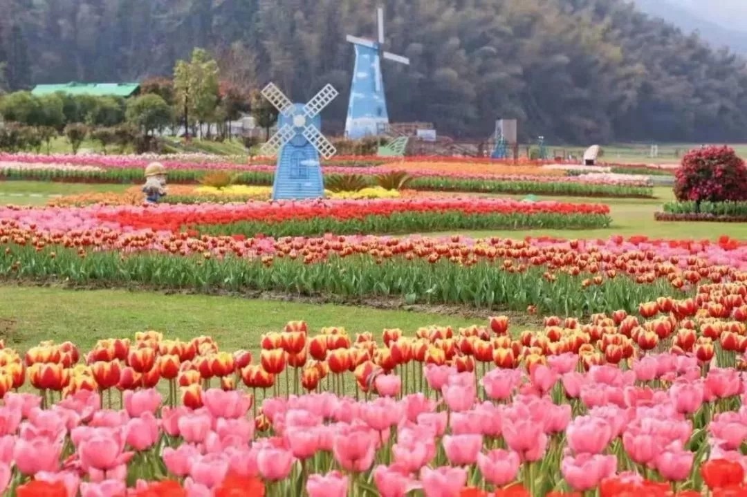 1553929997874104.jpg 640.webp (2).jpg