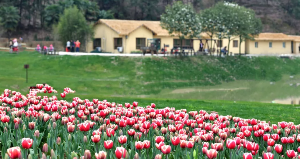 1558770190129521.png QQ截图20190525154129.png