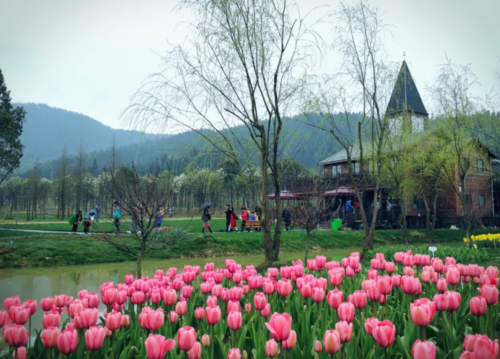 1558770218111551.png QQ截图20190525154112.png