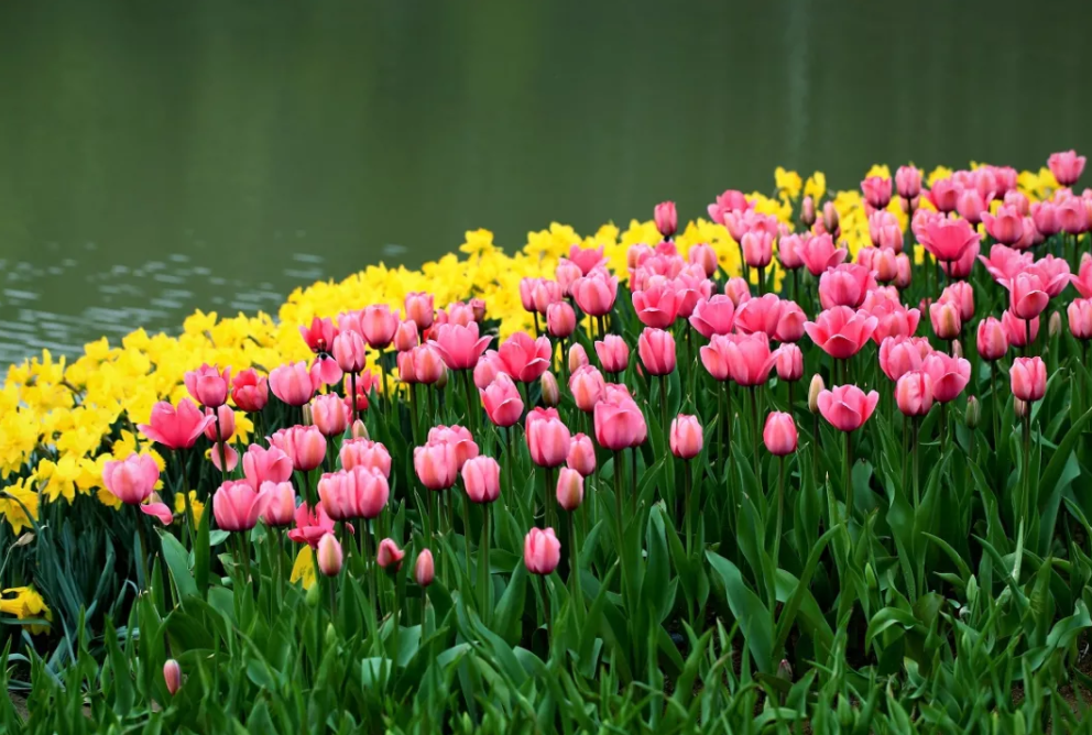 1558770228117648.png QQ截图20190525154147.png