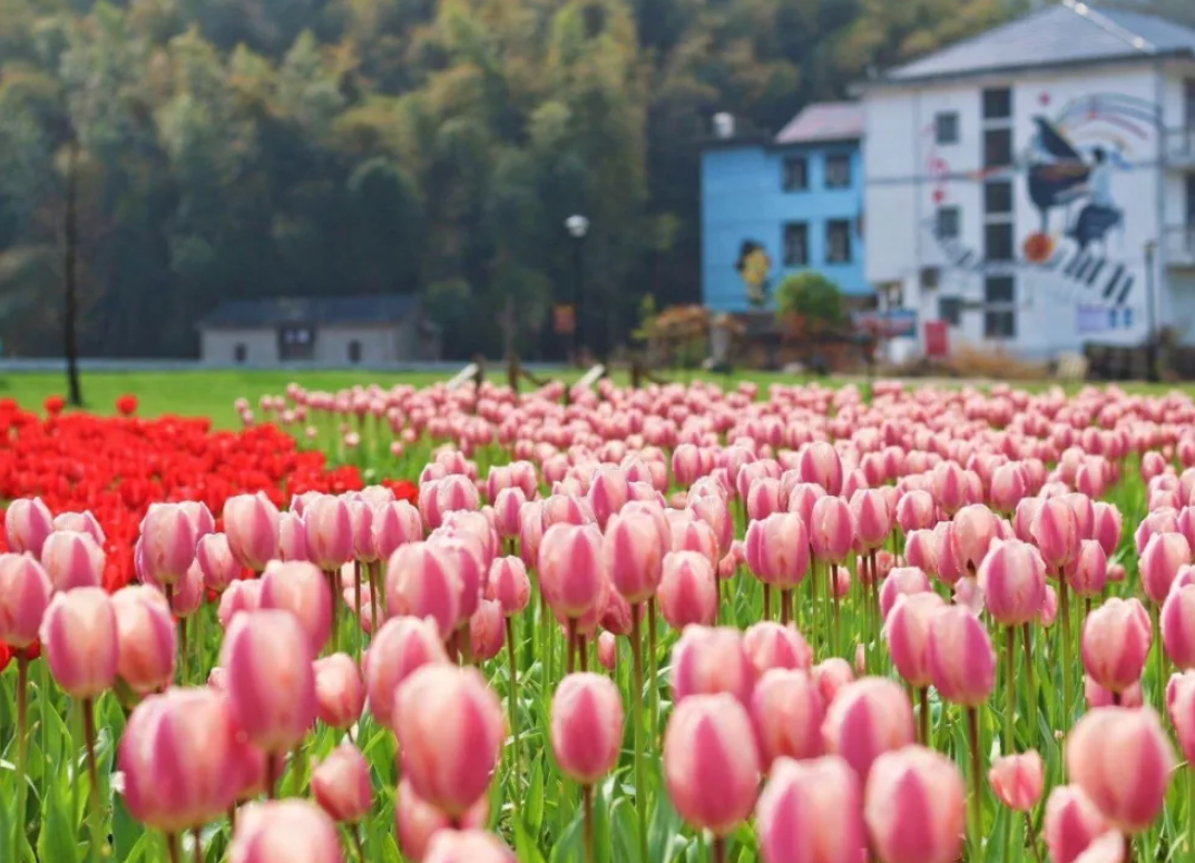 1558771611208316.png QQ截图20190525160636.png