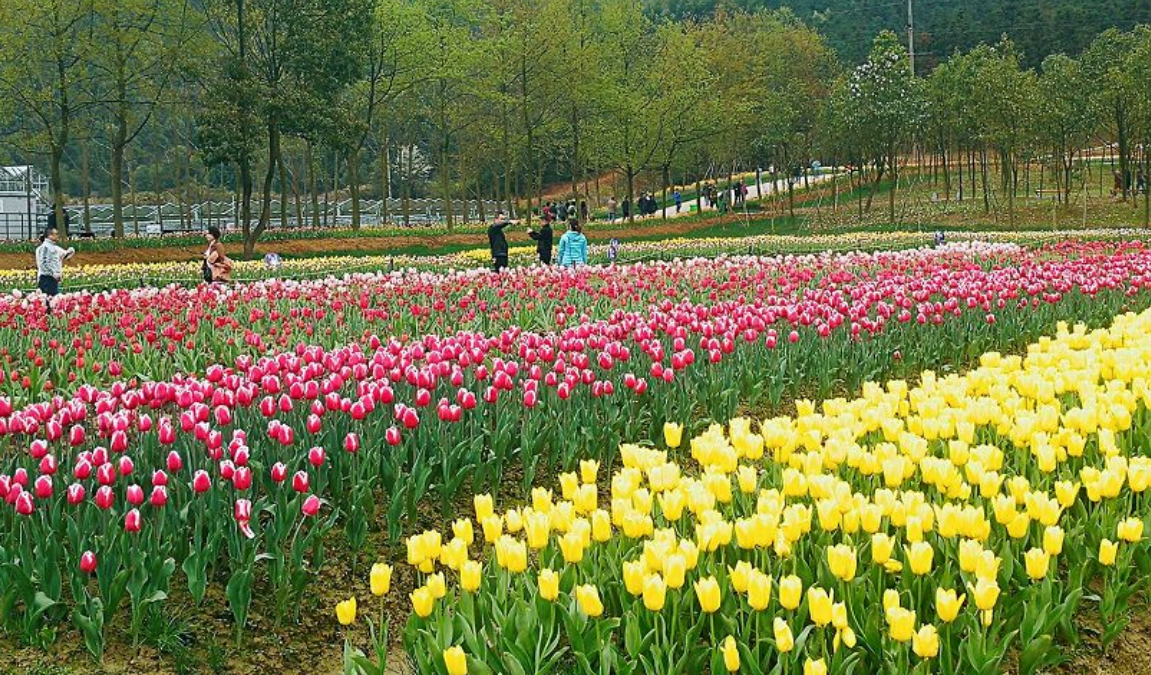 1558771773111874.png QQ截图20190525160828.png