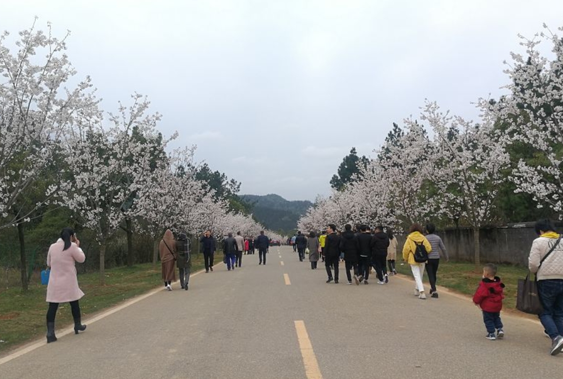 1558771787837140.png QQ截图20190525160857.png